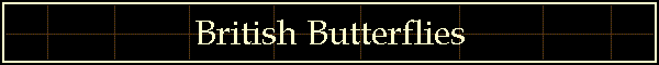 British Butterflies