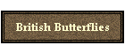 British Butterflies