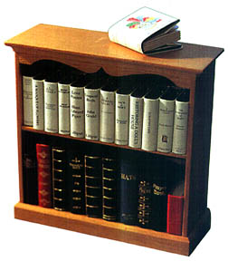 bcase.JPG (22305 bytes)