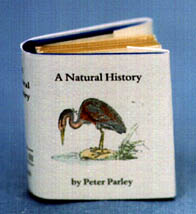 bi.JPG (13993 bytes)