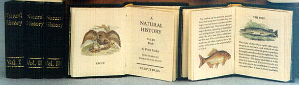 lfilbi.JPG (27793 bytes)