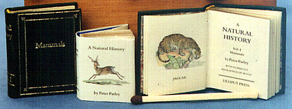 lnh.JPG (38707 bytes)