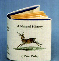 nh.JPG (15078 bytes)