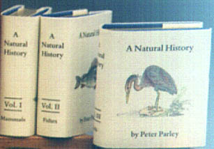 nhfibi.JPG (19264 bytes)